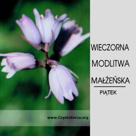 Modlitwa-na tydzien-Piatek